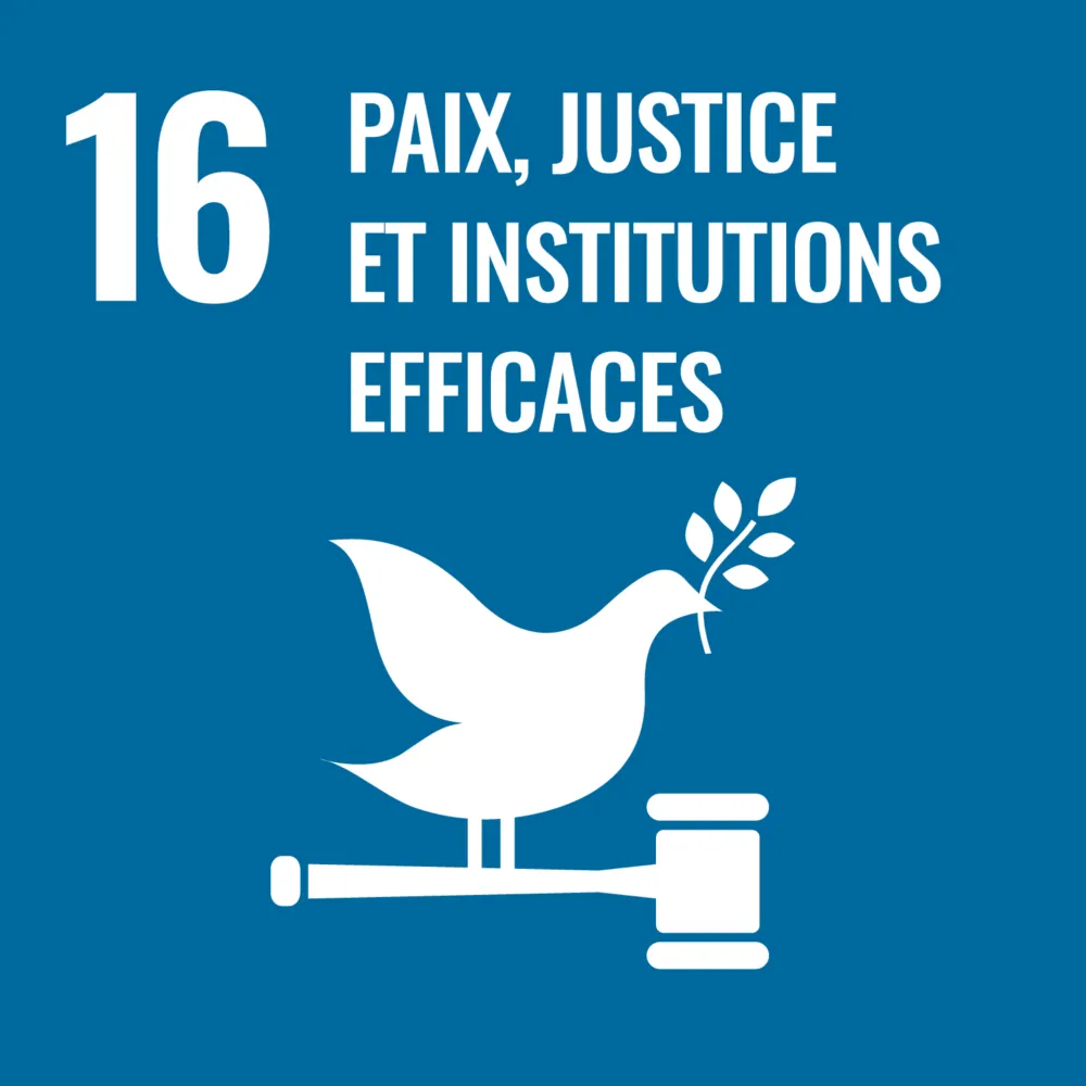 Parfex • F WEB Goal 16