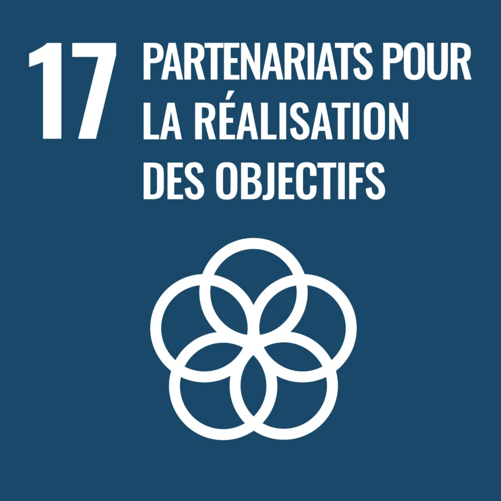 Parfex • F WEB Goal 17